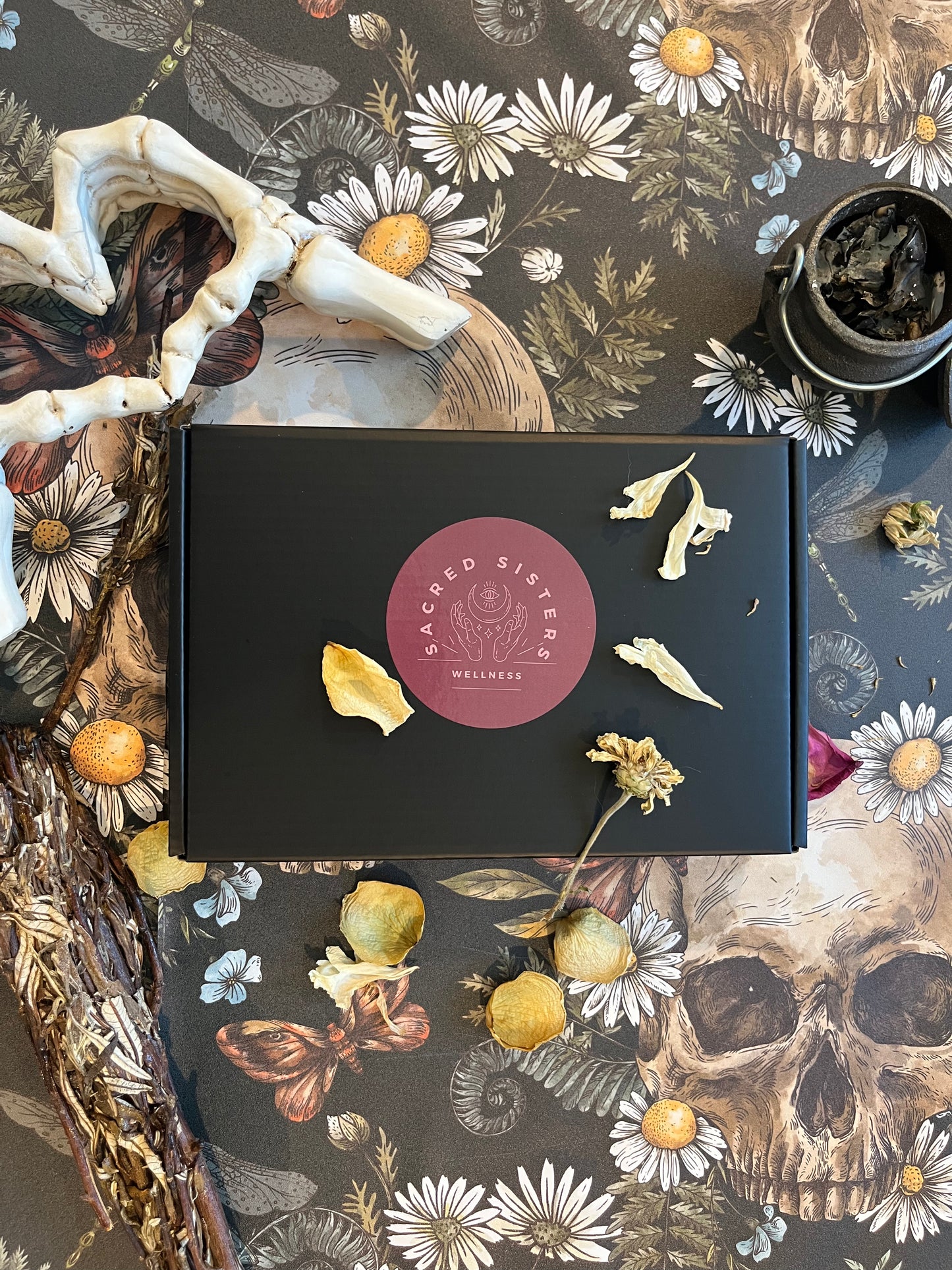 Herbal Kit Witchcraft Supplies Herbs Starter Kit