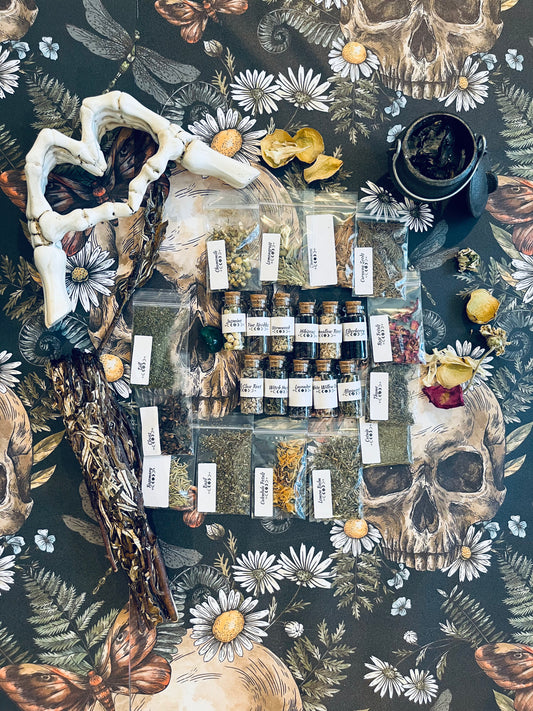 Herbal Kit Witchcraft Supplies Herbs Starter Kit